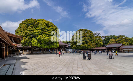 Belle vue sur le sanctuaire de Meiji Shinto dans le centre de Tokyo, Japon Banque D'Images