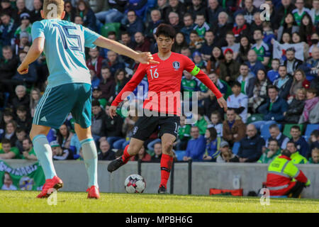 24 mars 2018. Le Football International sympa 2018, d'Irlande du Nord / Corée du Sud, à Windsor Park, Belfast. (16) Ki Sung Yueng-Corée du Sud. Banque D'Images