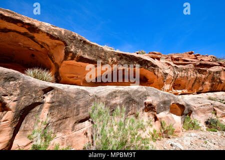 Magnifique Rocks le long de la piste jusqu'à Supai Banque D'Images