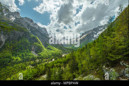 Superbe vue depuis le sentier, à à l'Isonzo - vallée de la Soca et ses montagnes escarpées couvertes dans les arbres. La fonte des neiges au printemps, en Slovénie. Banque D'Images