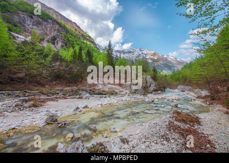 Isonzo - fond de vallée de la Soca. - Glaciaire alimenté, crystal clear rivière qui coule à travers les roches et rochers, entouré d'épaisses forêts et montagnes. Banque D'Images