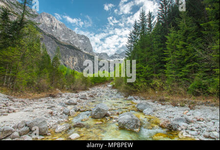 Isonzo - fond de vallée de la Soca. - Glaciaire alimenté, crystal clear rivière qui coule à travers les roches et rochers, entouré d'épaisses forêts et montagnes. Banque D'Images