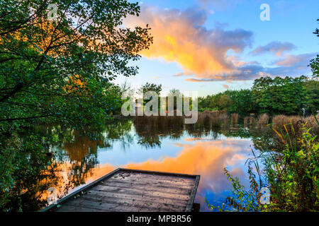 Le coucher de soleil sur un lac de pêche un peg dans un Baggeridge Country Park. Banque D'Images