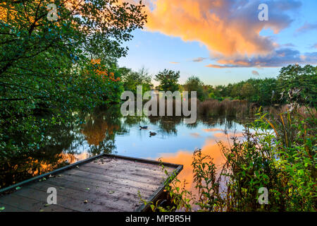 Le coucher de soleil sur un lac de pêche un peg dans un Baggeridge Country Park. Banque D'Images