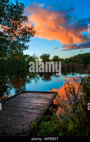 Le coucher de soleil sur un lac de pêche un peg dans un Baggeridge Country Park. Banque D'Images