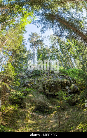 Itinéraires de randonnée en Lillomarka près d'Oslo, Norvège, au début du printemps, journée ensoleillée. Banque D'Images