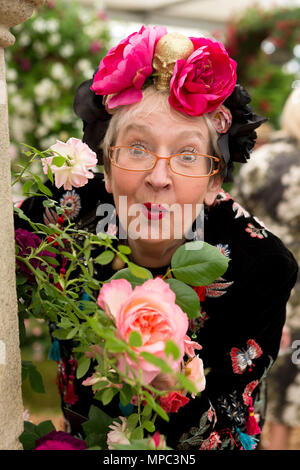 Londres, Royaume-Uni. 21 mai 2018. Su Pollard holding parfumé 'Celebration' une rose nouvelle introduite au Chelsea Flower Show par Peter Beales Roses. La société a reçu leur 25e médaille d'or tout en célébrant leur 50e anniversaire. Credit : Keith mindham/Alamy Live News Banque D'Images