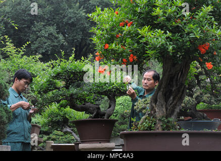 Suzhou, Province de Jiangsu en Chine. 22 mai, 2018. Garniture de jardiniers du paysage en pot à l'endroit pittoresque montagne Huqiu à Suzhou, Province de Jiangsu en Chine de l'Est, le 22 mai 2018. Credit : Accrocher South/Xinhua/Alamy Live News Banque D'Images