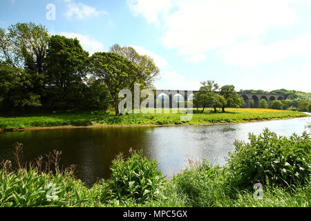 Arthington Viaduc, West Yorkshire, Royaume-Uni. 22 mai 2018 Sunny View de Arthington Viaduc, West Yorkshire. Le viaduc comporte la ligne de chemin de fer à travers l'Harrogate Wharfe valley. Le viaduc a été construit entre 1845 à 1849 est d'environ 460 mètres de long avec 21 arches et enjambe la rivière Wharfe entre Arthington dans West Yorkshire à Castley dans Yorkshire du Nord. Crédit : Andrew Gardner/Alamy Live News Banque D'Images