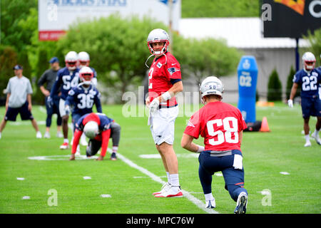 Foxborough, Massachusetts, USA. 22 mai, 2018. New England Patriots quarterback Brian Hoyer s'étend à l'équipe de l'équipe a organisé des activités tenues sur le champs de pratique au stade Gillette, à Foxborough, Massachusetts. Eric Canha/CSM/Alamy Live News Banque D'Images