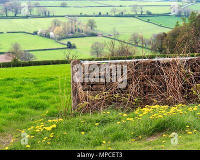 Vue sur Nidderdale au printemps de Scarah Bank près de Ripley North Yorkshire Angleterre Banque D'Images