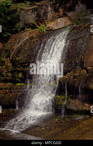 Cascade dans la forêt. Parc Sofievka, Uman, région de Tcherkassy, en Ukraine Banque D'Images