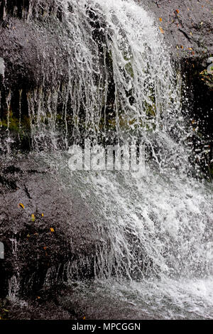 Cascade dans la forêt. Parc Sofievka, Uman, région de Tcherkassy, en Ukraine Banque D'Images