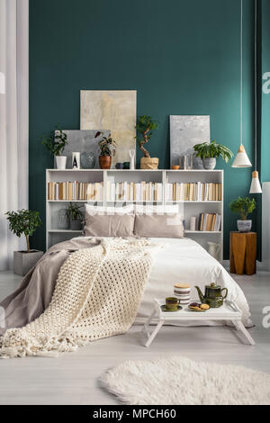 Bibliothèque Accueil blanc gris avec des peintures et des plantes dans un parc naturel et de l'intérieur chambre à coucher spacieuse avec mur vert turquoise Banque D'Images