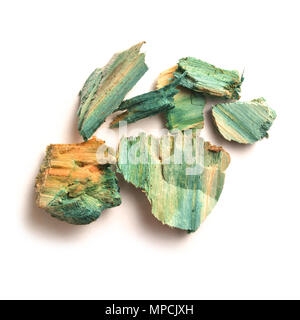 Xylindein pigment sur Chlorociboria Aeruginascens en bois en raison de champignon Banque D'Images