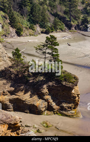 Sur les falaises de la plage des pins Banque D'Images