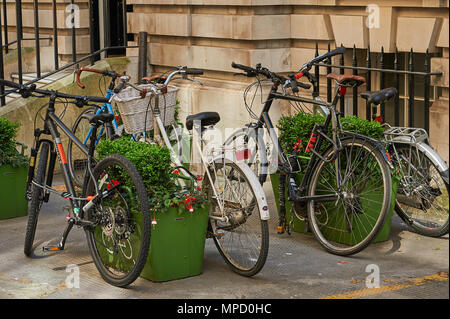 Les vélos garés devant un bureau en utilisant 'Plantlock semoir' système. Banque D'Images