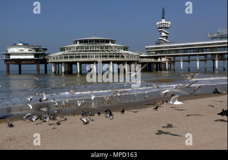 Scheveningen, Pays-Bas-mars 17,2015 : vol de mouettes sur la plage de Scheveningen en face de la jetée Banque D'Images