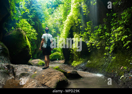 Belle cascade en secret tukad canyon, Bali, Indonésie Banque D'Images