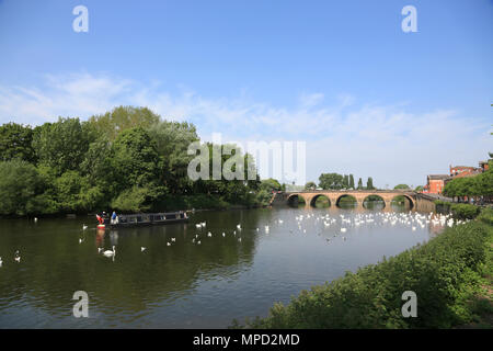 Un petit bateau navigue à travers le sanctuaire Swan sur la rivière Severn à Worcester, Worcestershire, Angleterre, Royaume-Uni. Banque D'Images