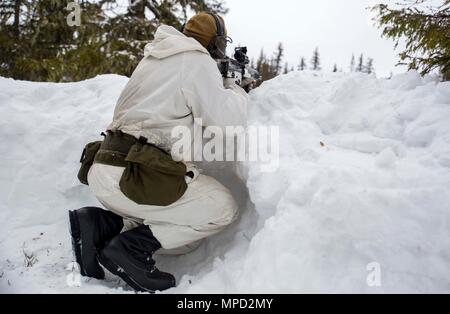 En étudiant la guerre d'hiver de base suédois s'engage au cours d'une embuscade au cours de l'exercice de formation de terrain à Avidsjaur, Suède, le 1 février 2016. Les Marines américains ont participé à l'aide d'un programme national de formation qui a porté sur la survie par temps d'hiver et sa capacité à effectuer des opérations d'infanterie et de diriger de petites unités par temps froid. (U.S. Marine Corps photo par le Sgt. Marcin Platek/libérés) Banque D'Images