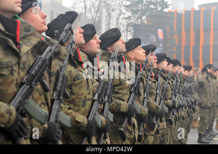 Des soldats polonais affectés à 23e Régiment d'artillerie de stand en formation au cours d'une cérémonie de célébration pour accueillir les troupes américaines à Wrocław, Pologne, le 5 février 2017. La célébration a été l'occasion pour les citoyens polonais d'accueillir les soldats du 588th bataillon du génie de la Brigade Blindée, 3e Brigade Combat Team, 4e Division d'infanterie. L'arrivée de l'ABCT 3-4 marque le début des rotations de brigades blindées en Europe dans le cadre de l'opération Atlantic résoudre. Cette rotation permettra d'améliorer les capacités de dissuasion dans la région, améliorer la capacité de répondre à des cri Banque D'Images