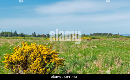 Ou de la bataille de Culloden Moor INVERNESS ECOSSE VUE VERS LE CAIRN COMMÉMORATIF AVEC GROUPE DE PERSONNES SUR LE SENTIER Banque D'Images