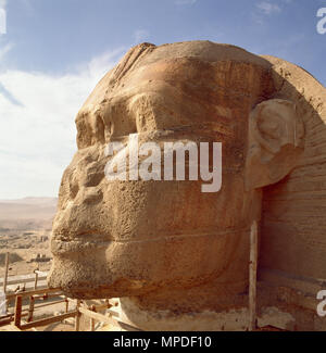 Le grand Sphinx de Gizeh Les pyramides - complexe avec la tête d'un humain et le corps d'un lion - dans une vue rapprochée à côté de son visage. Banque D'Images