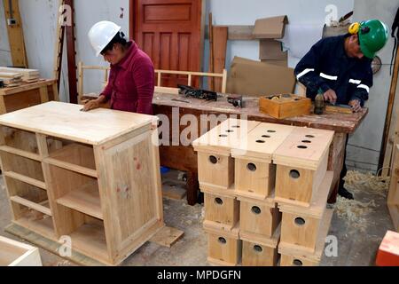 Décisions - honeycomb scierie à GRANJA PORCON - coopérative évangélique . .Département de Cajamarca au Pérou Banque D'Images