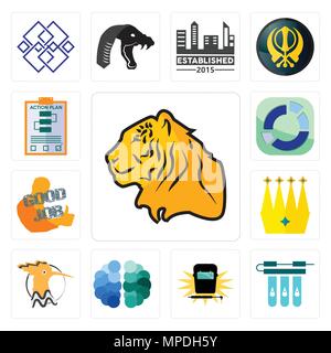 Ensemble de 13 icônes modifiable simple tiger, filtre à eau, soudure, cerveau, huppe fasciée, couronne, bon travail, le secteur, le plan d'action peut être utilisé pour le mobile, Illustration de Vecteur
