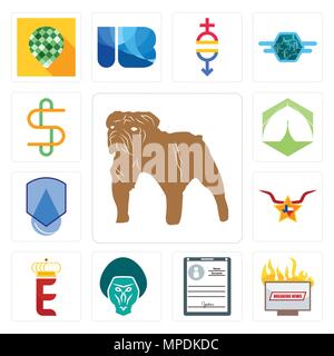 Ensemble de 13 icônes modifiable simple comme le bulldog, breaking news, des détails personnels, babouin, e couronne, texas star, étanche, chapiteau, double s peut nous Illustration de Vecteur