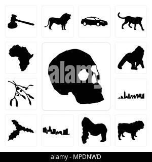 Ensemble de 13 icônes modifiable simple comme le contour du crâne sur fond blanc, bouledogue gorilla peut être utilisé pour le mobile, l'interface utilisateur web Illustration de Vecteur