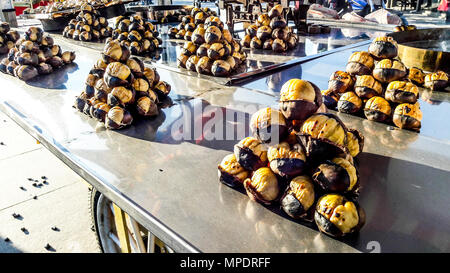 L'alimentation de rue turc alimentation biologique marron. Banque D'Images