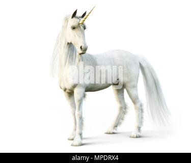 Licorne blanche mythique posant sur un fond blanc isolé. Le rendu 3D Banque D'Images