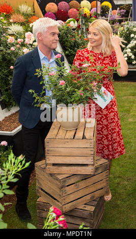 Holly Willoughby et Phillip Schofield dévoiler une rose spéciale d'être nommée 'ce matin' pour célébrer les 30 ans à la télévision, Harkness Roses au 2018 RHS Chelsea Flower Show Banque D'Images