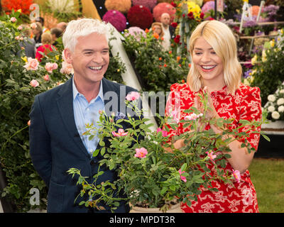 Holly Willoughby et Phillip Schofield dévoiler une rose spéciale d'être nommée 'ce matin' pour célébrer les 30 ans à la télévision, Harkness Roses au 2018 RHS Chelsea Flower Show Banque D'Images