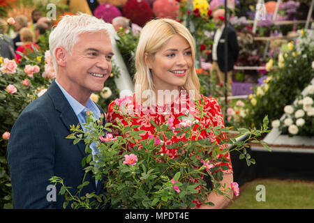 Holly Willoughby et Phillip Schofield dévoiler une rose spéciale d'être nommée 'ce matin' pour célébrer les 30 ans à la télévision, Harkness Roses au 2018 RHS Chelsea Flower Show Banque D'Images