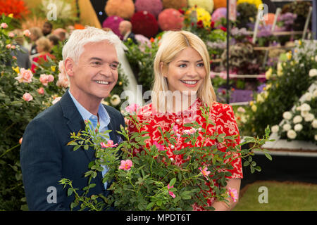 Holly Willoughby et Phillip Schofield dévoiler une rose spéciale d'être nommée 'ce matin' pour célébrer les 30 ans à la télévision, Harkness Roses au 2018 RHS Chelsea Flower Show Banque D'Images