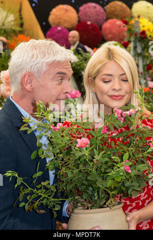 Holly Willoughby et Phillip Schofield dévoiler une rose spéciale d'être nommée 'ce matin' pour célébrer les 30 ans à la télévision, Harkness Roses au 2018 RHS Chelsea Flower Show Banque D'Images