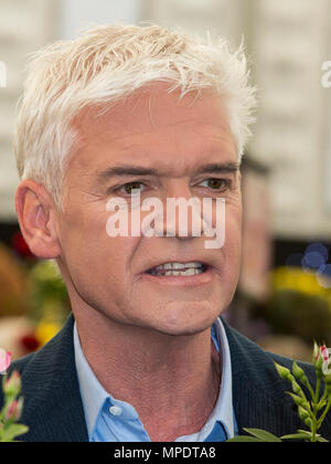 Holly Willoughby et Phillip Schofield (photo) dévoiler une rose spéciale d'être nommée 'ce matin' pour célébrer les 30 ans à la télévision, Harkness Roses au 2018 RHS Chelsea Flower Show Banque D'Images