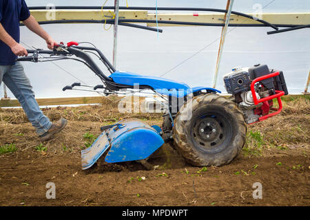 Tracteur motoculteur cultivateur à la préparation des émissions de poussière du sol farm Banque D'Images