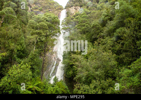 C'est la plus haute cascade Montezuma falls en Tasmanie avec une hauteur de 104m Banque D'Images