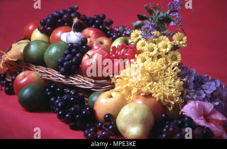 Panier de fruits tropicaux Banque D'Images