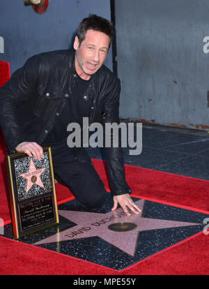 David Duchovny - Star 06 de David Duchovny, l'X-Files star, honoré par une étoile sur le Hollywood Walk of Fame à Los Angeles. Le 25 janvier 2016. David Duchovny - Star 06 Événement dans la vie d'Hollywood, Californie - Red Carpet Event, USA, Cinéma, Célébrités, photographie, Bestof, Arts, Culture et divertissement, Célébrités, Mode Topix Meilleur de Hollywood, la vie, événement dans la vie d'Hollywood, Californie - Tapis rouge et en backstage, cinéma, télévision, Célébrités célébrités Musique, Arts, Culture et divertissement, vertical, une seule personne, la photographie, l'enquête , tsuni@Gamma-USA.com Tsuni Crédit / U Banque D'Images