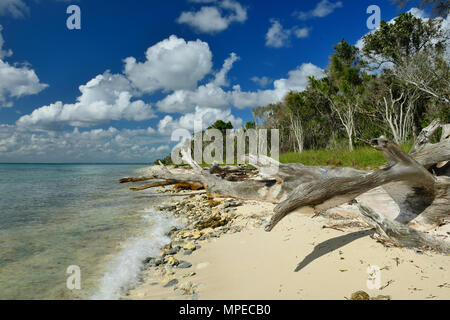 Plage tropicale sur les Caraïbes Banque D'Images