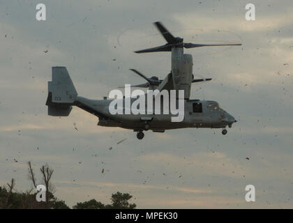 Un Corps des Marines MV-22 Osprey (USMC) prépare à la terre pendant 10e exercice de tir du Régiment des Marines (REGFIREX) 1-17 à Camp Lejeune, en Caroline du Nord, le 15 février 2017. REGFIREX Niveau du régiment est un exercice visant à augmenter les capacités de mission et d'améliorer l'état de préparation opérationnelle. (U.S. Marine Corps photo par Lance Cpl. Justin X. Toledo) Banque D'Images