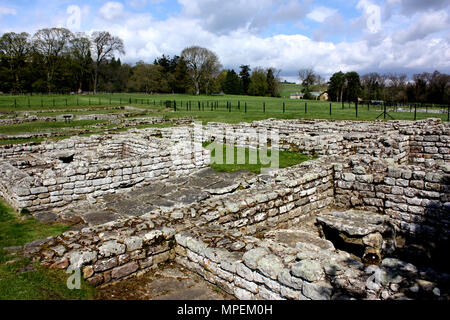 La maison du commandant au Fort romain de Chesters dans Northumberland par mur d'Hadrien Banque D'Images