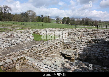 La maison du commandant au Fort romain de Chesters dans Northumberland par mur d'Hadrien Banque D'Images