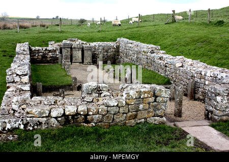 Le Temple de Mithra à Carrawburgh près de mur d'Hadrien Banque D'Images