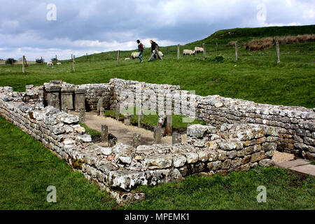 Le Temple de Mithra à Carrawburgh près de mur d'Hadrien Banque D'Images